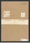 Cocconeis dirupta Greg. (de-Toni-Nr.: Genus 40, Species 1843) Zeichnungen Sammlung Grunow Nr. 3639 (NHMW-BOT-W0371248)